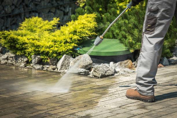 Best Paint Preparation  in El Dorado Hills, CA